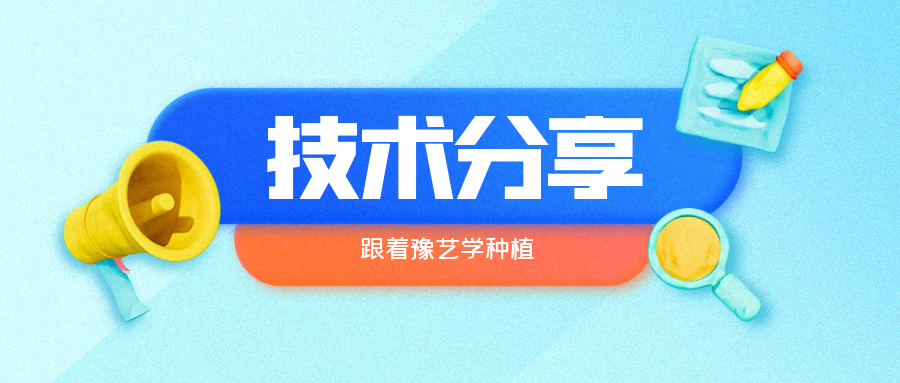 秋大棚辣椒、番茄育苗關(guān)鍵技術(shù)分享